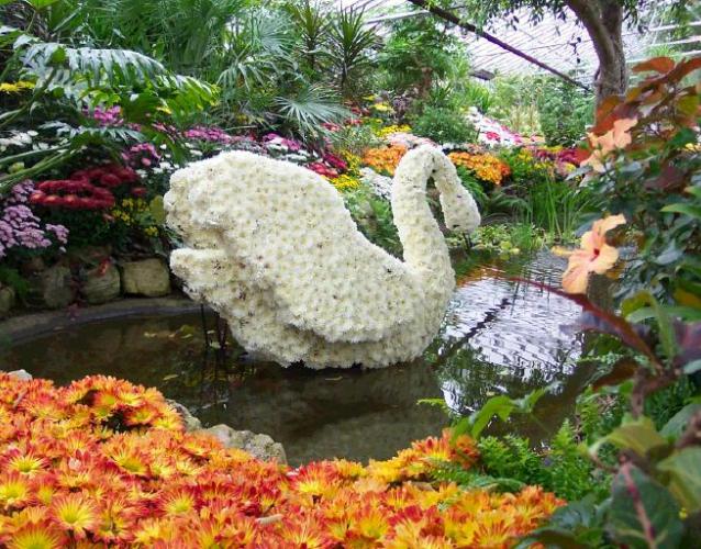 декорации для свадьбы банкета пруд лебедь из цветов